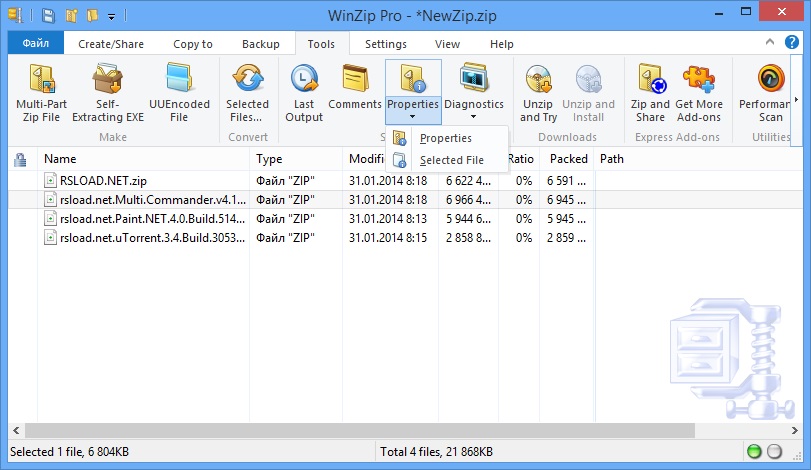 WinZip Pro