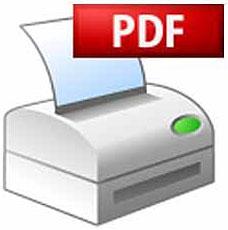 Bullzip PDF Printer logo